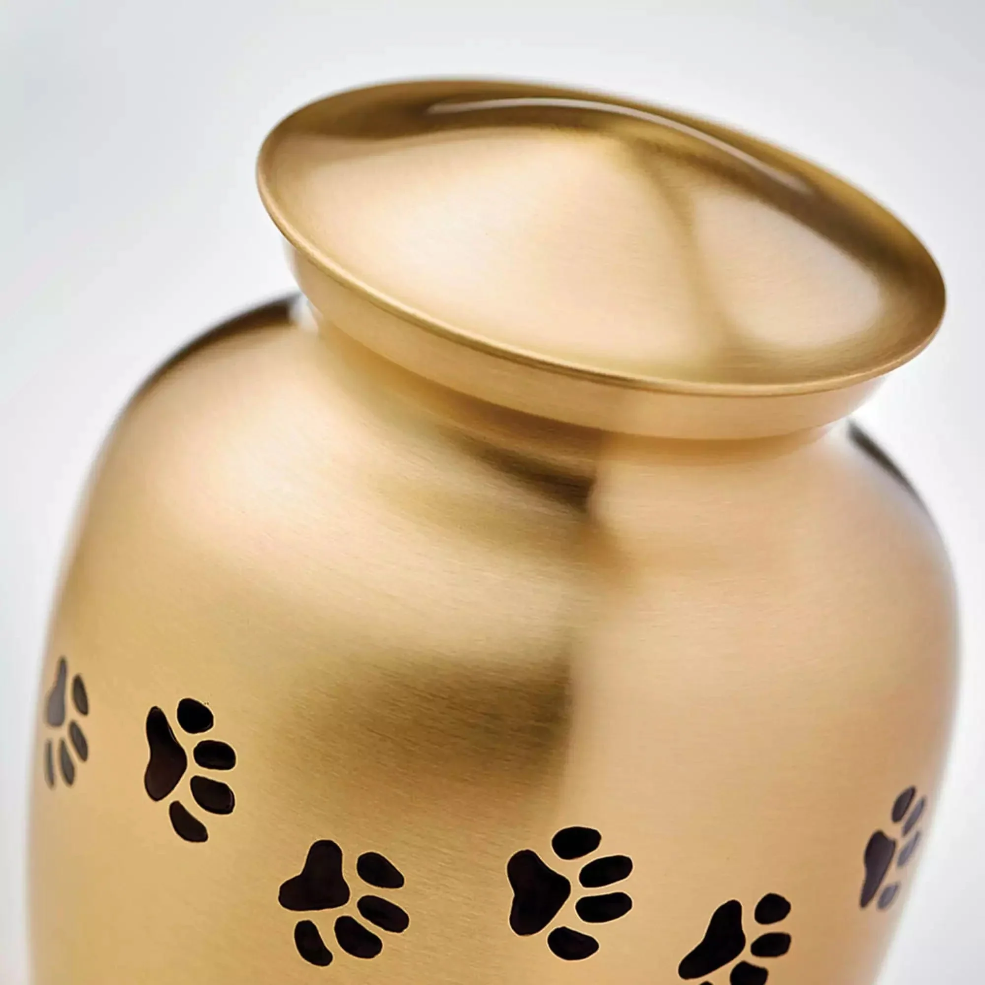 Classic Paws Brass Pet Urn - Image 7