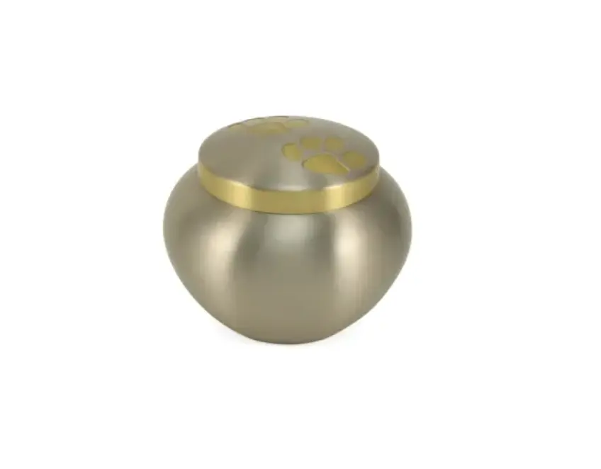 Odyssey® Paw Pewter Pet Urn - Image 4