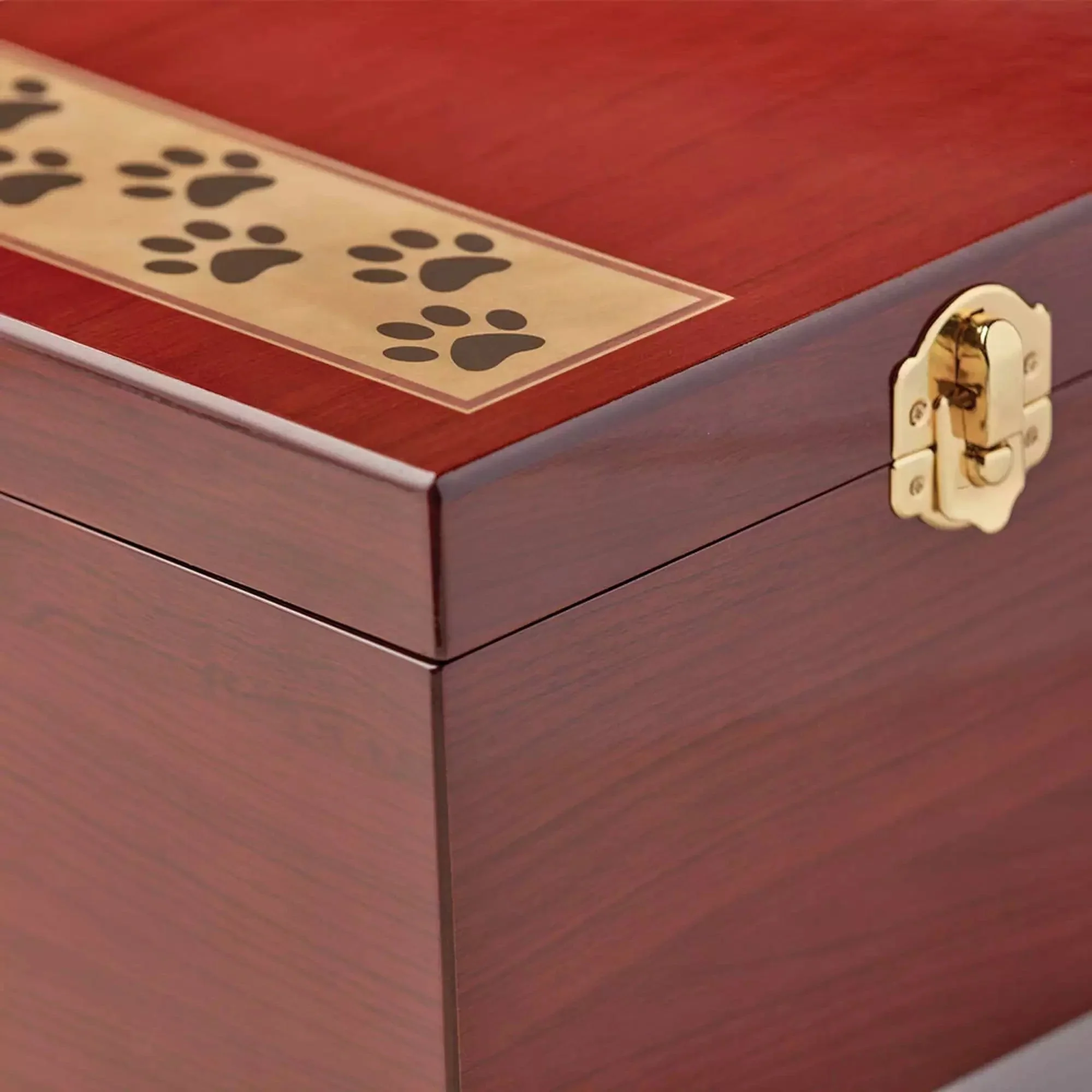 Paw Print Memory Chest - Image 3