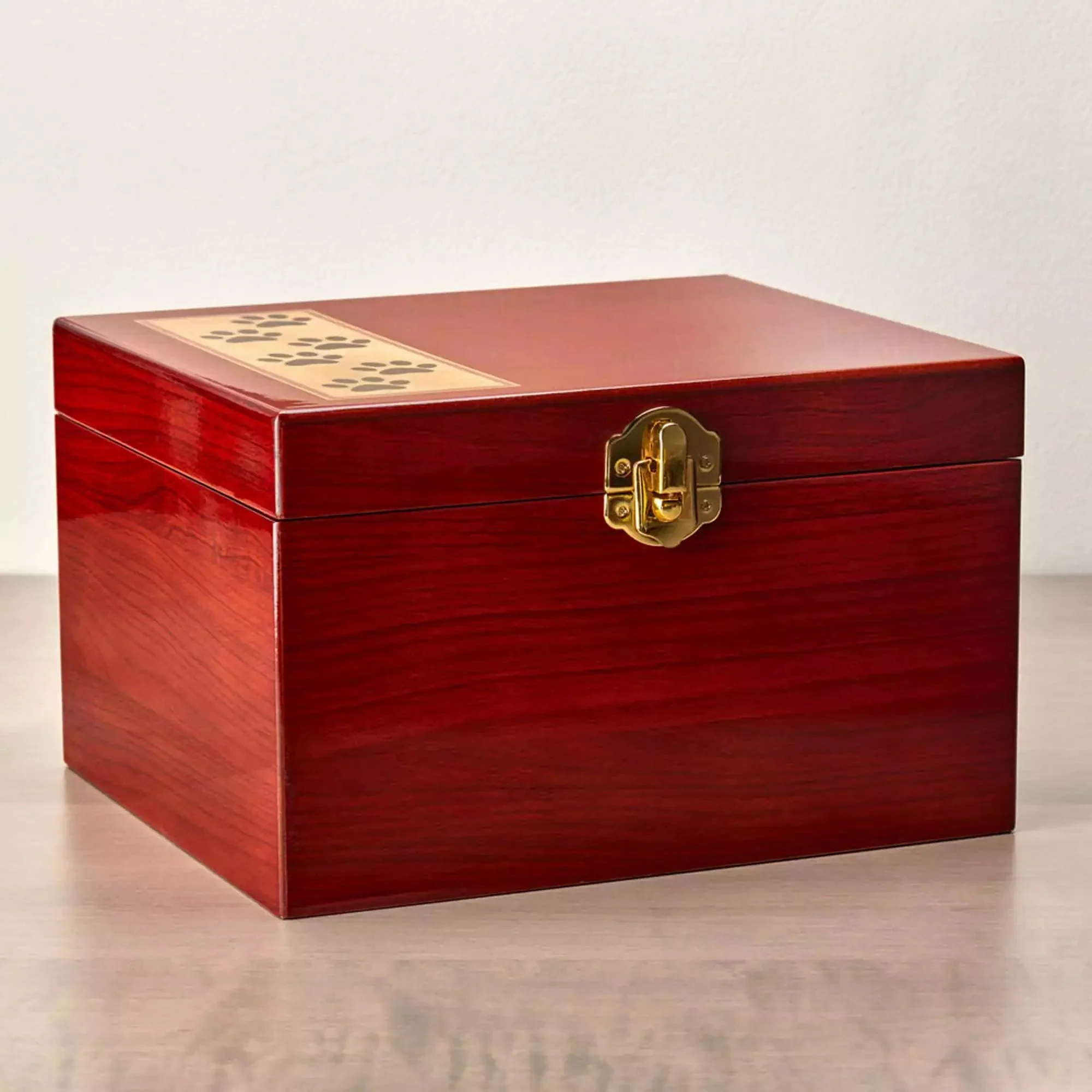 Paw Print Memory Chest - Image 5