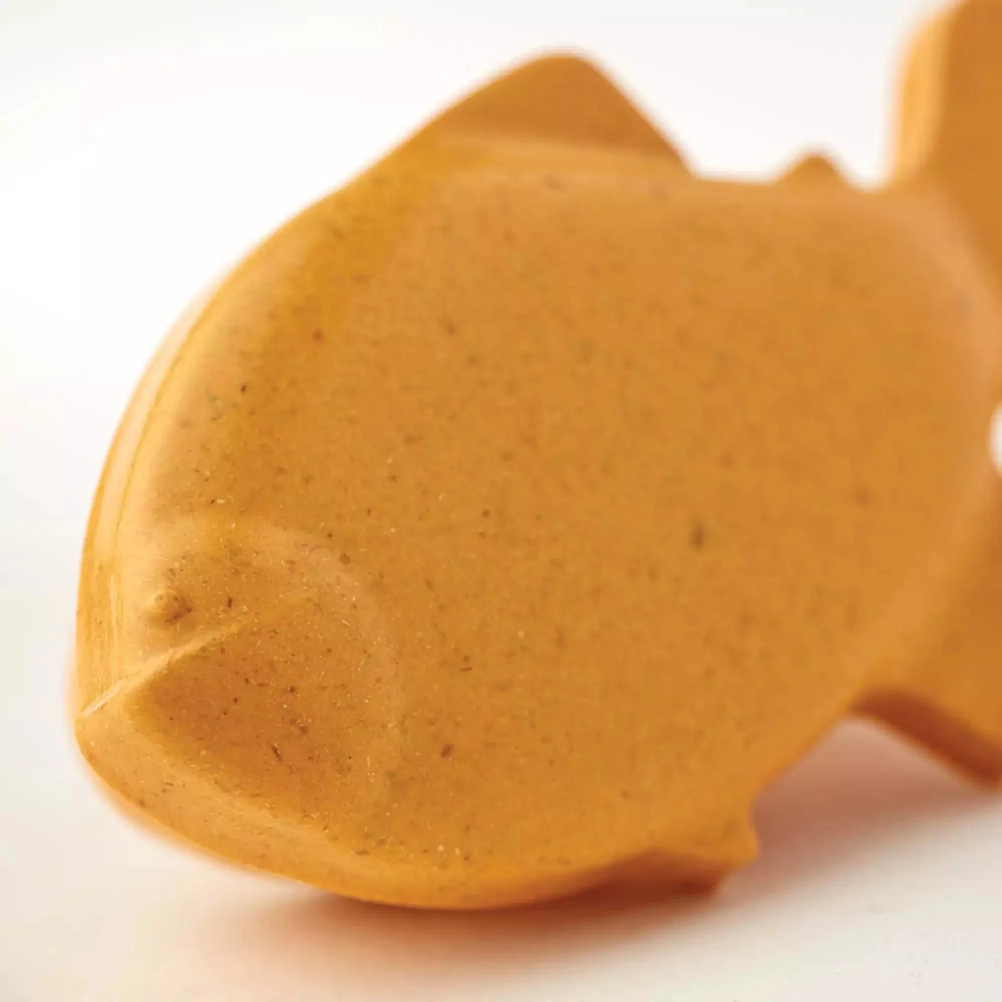 PawPods Goldfish Pet Urn - Image 5