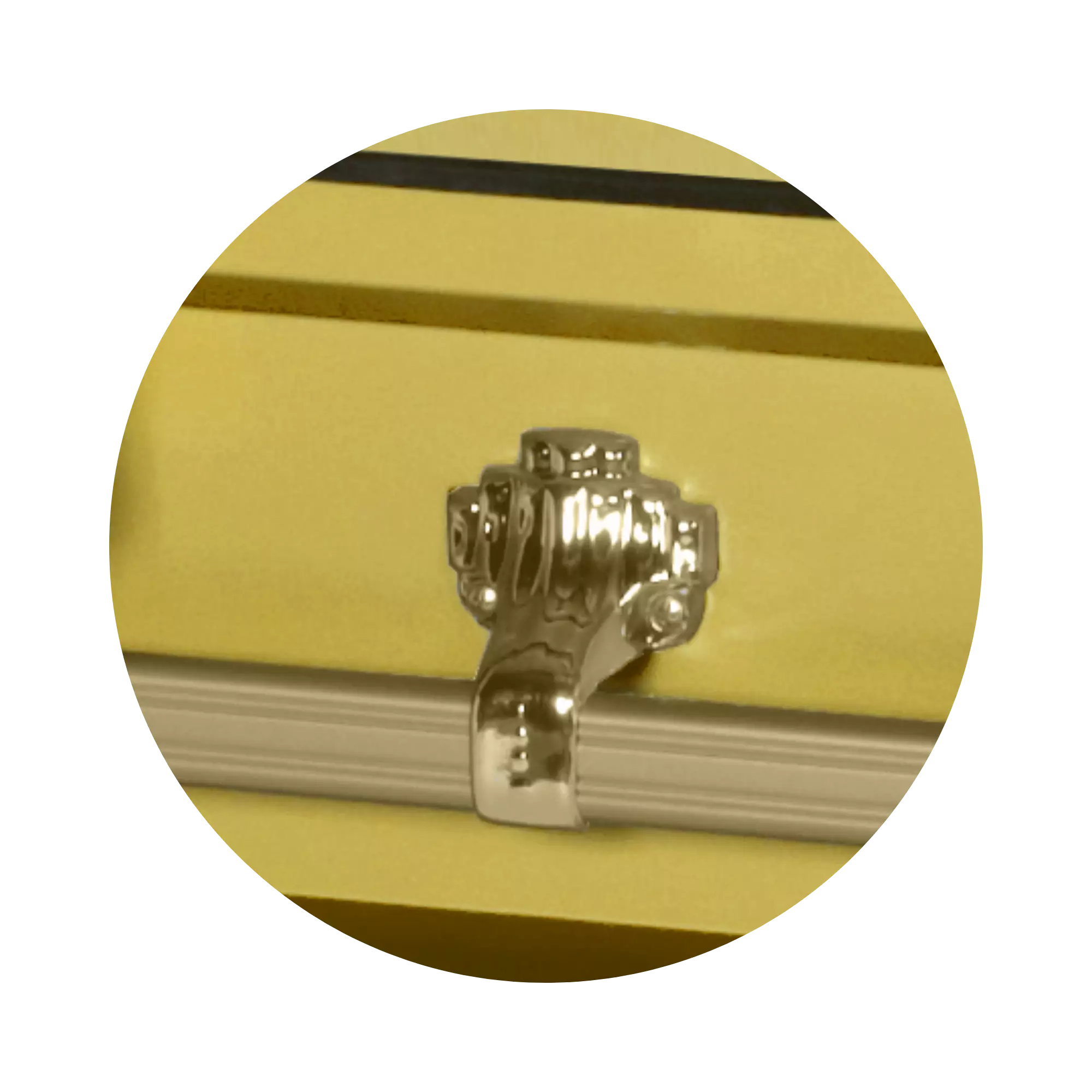 Steel Pet Casket (Made in USA) | Gold - Image 4