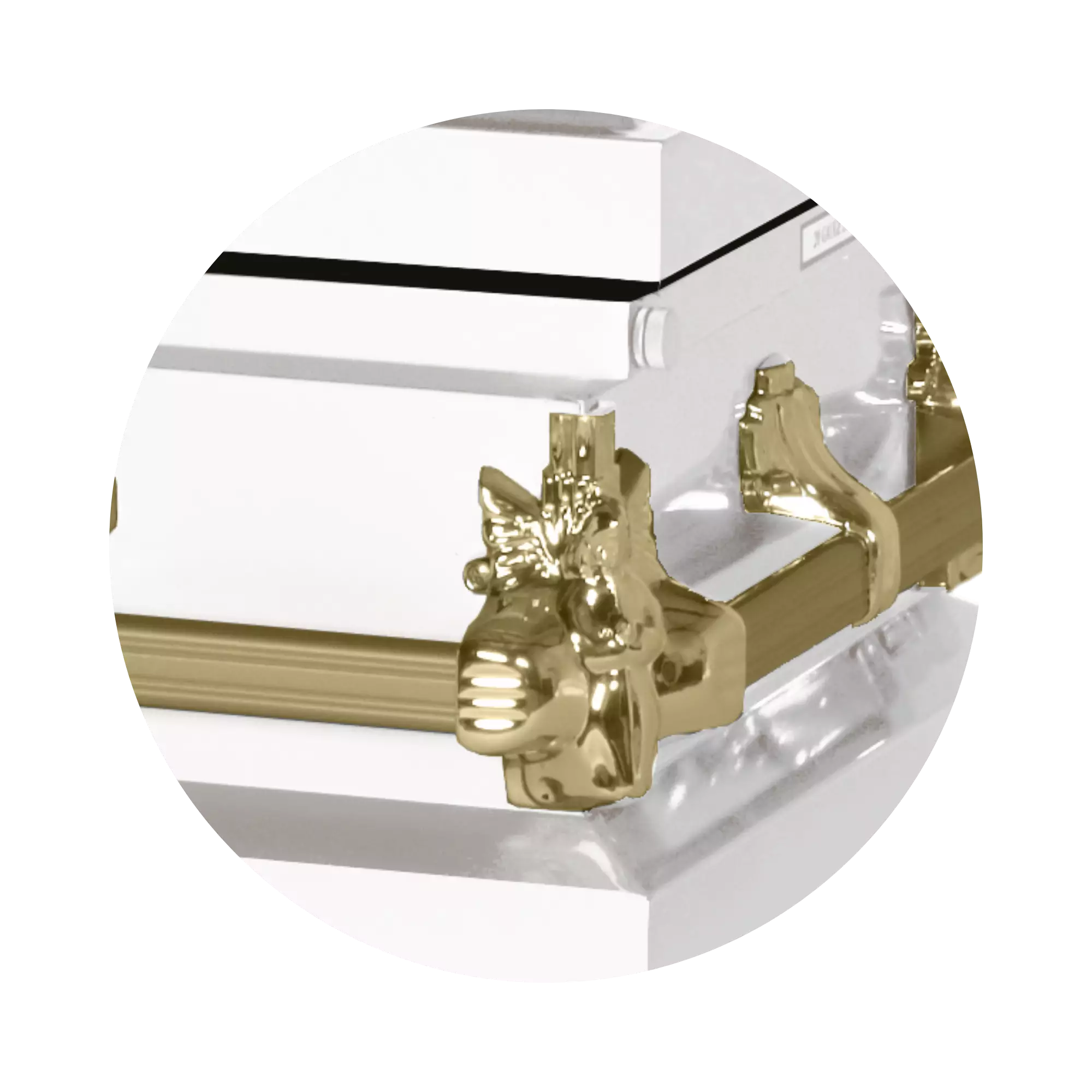 Steel Pet Casket (Made in USA) | White & Gold - Image 3