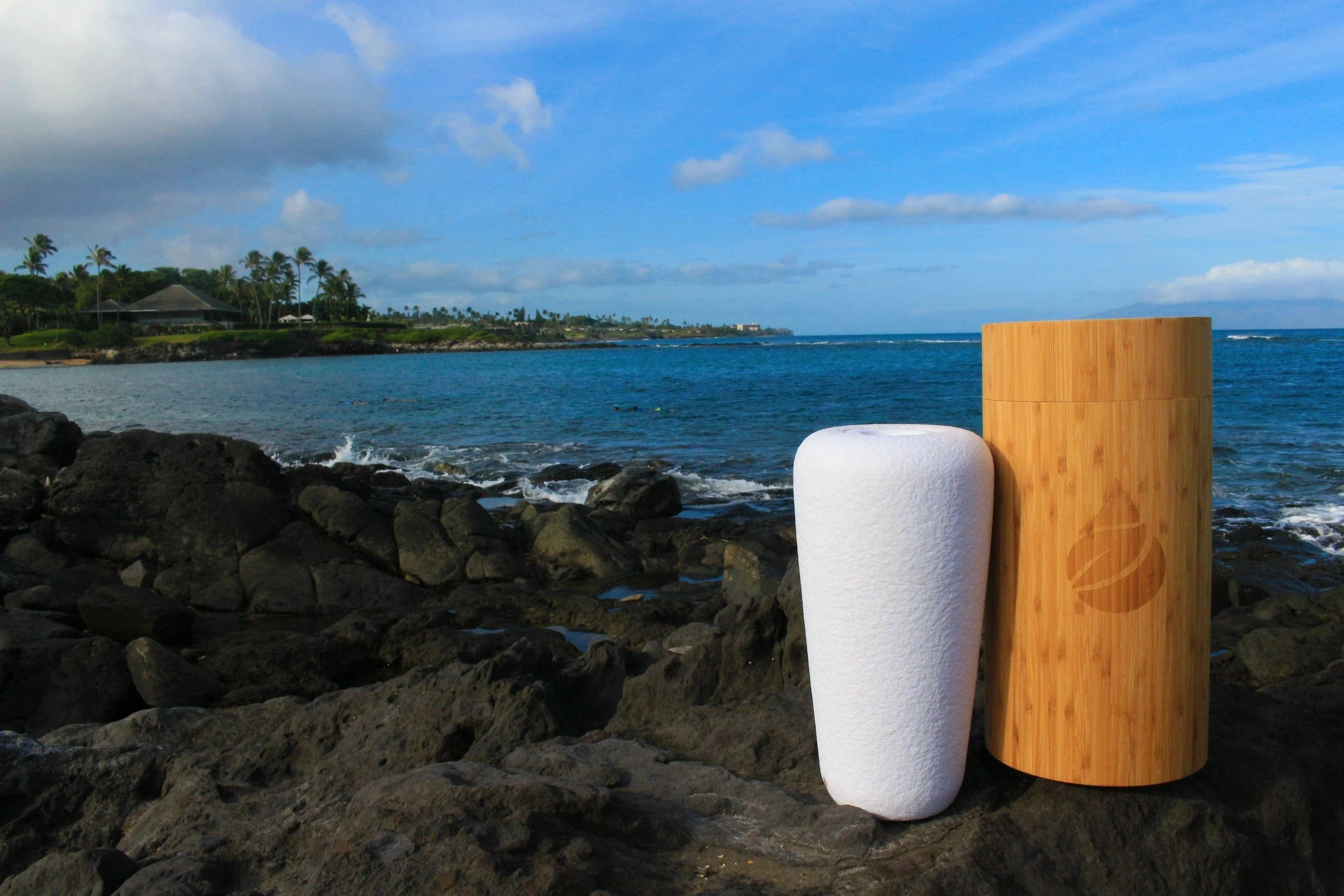 Pet Urn For Water | Eco Water Urn - Image 4