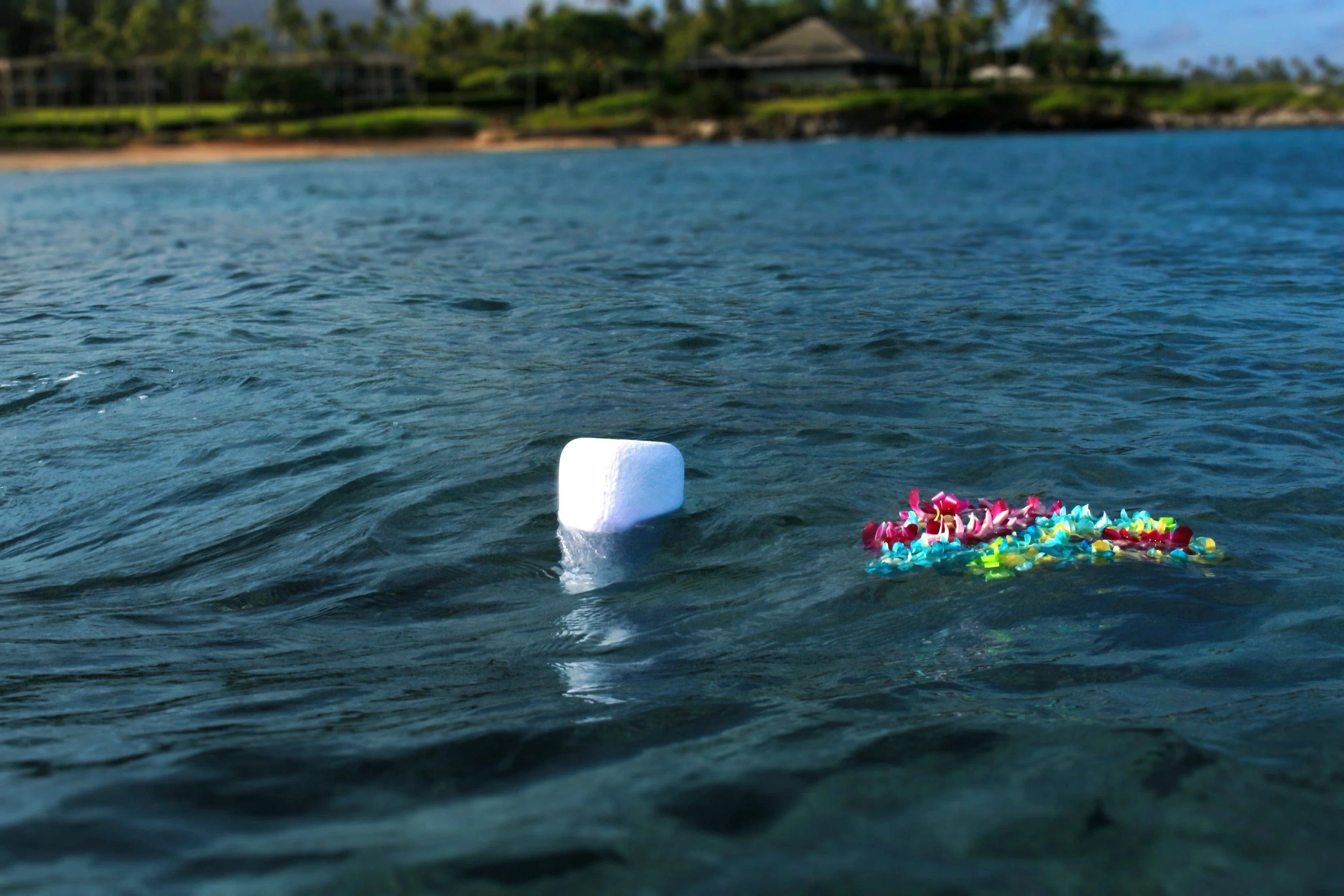 Pet Urn For Water | Eco Water Urn - Image 5