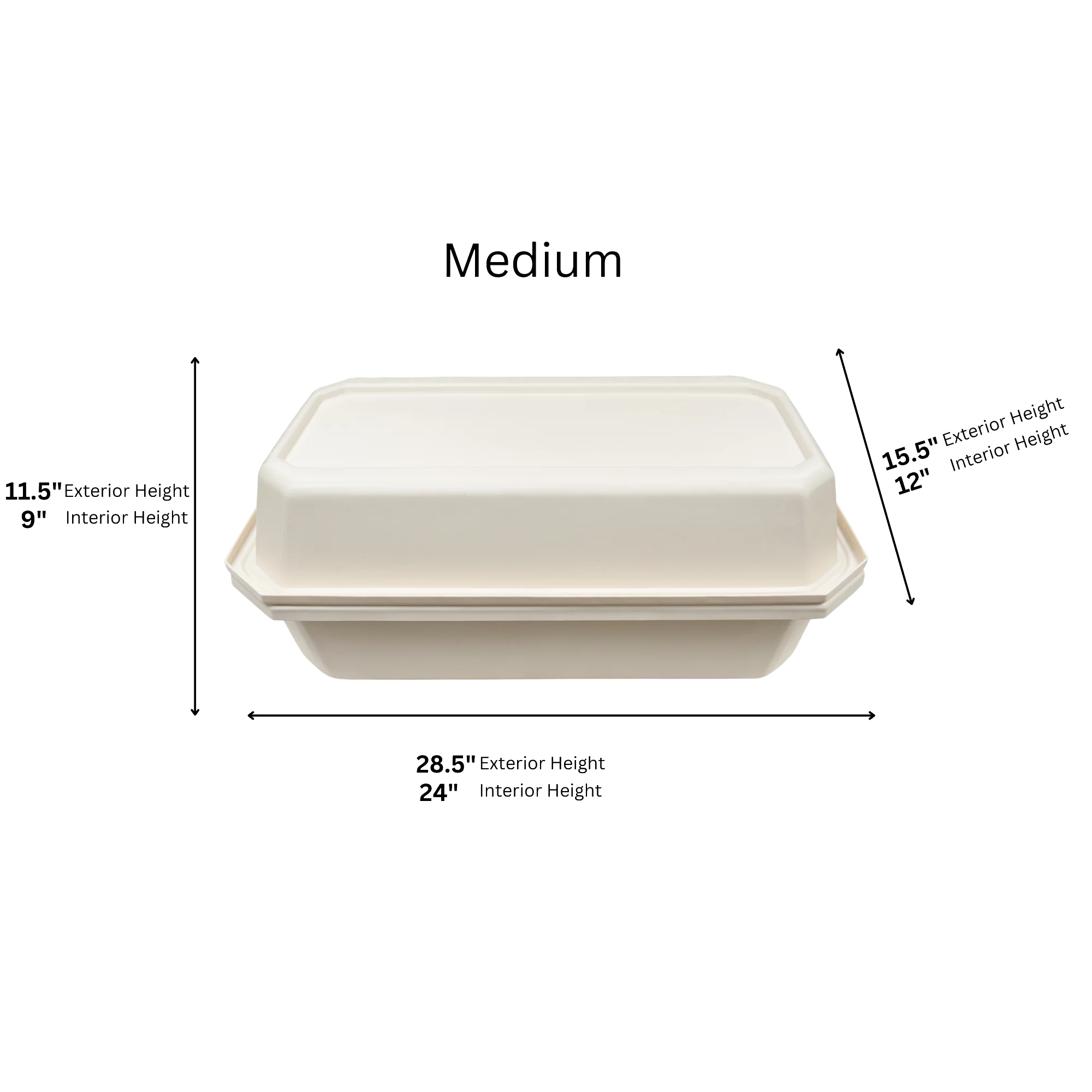 Standard Pet Casket | Almond With Rainbow Paw - Image 5