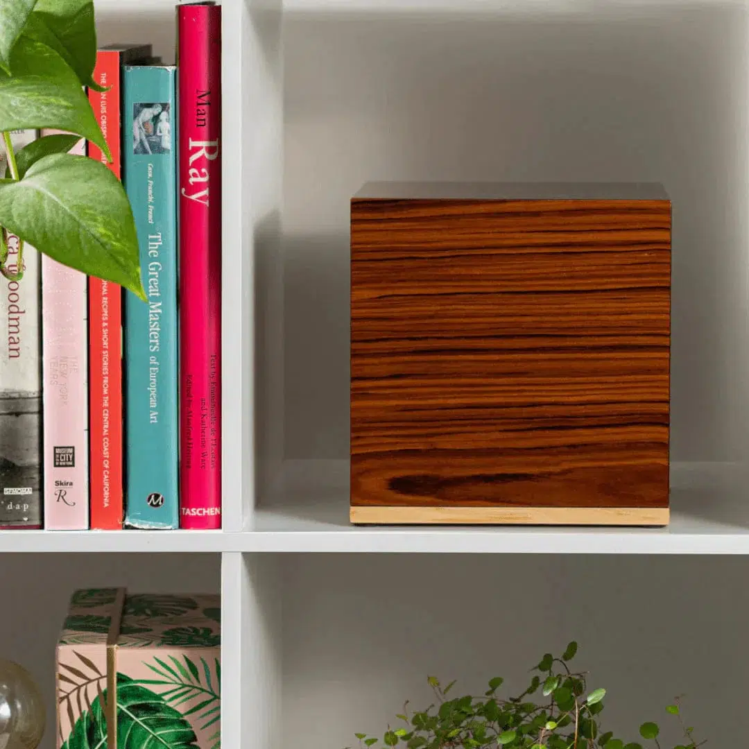 Wood Pet Urn - The Murray in Warm Brown - Image 5